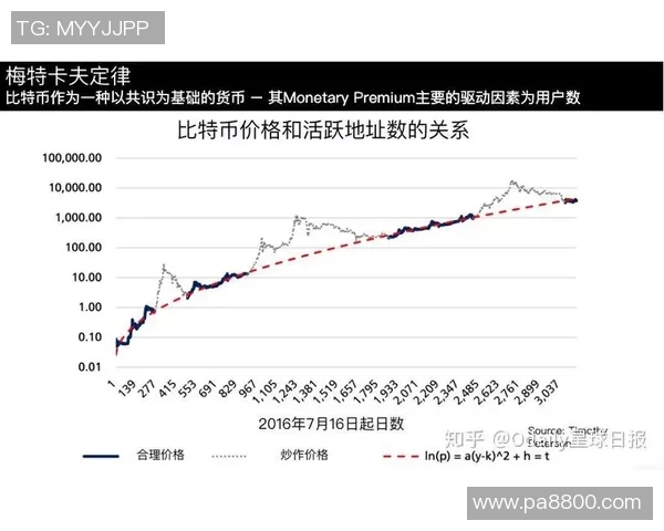 赛后复盘：北京排球队与南京排球队状态对比分析与未来展望