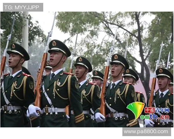 深圳排球队奋斗历程的真实记录与感人故事分享