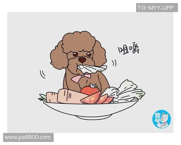 赵静独家分享篮球心得与技巧助你提升球技的全面指南